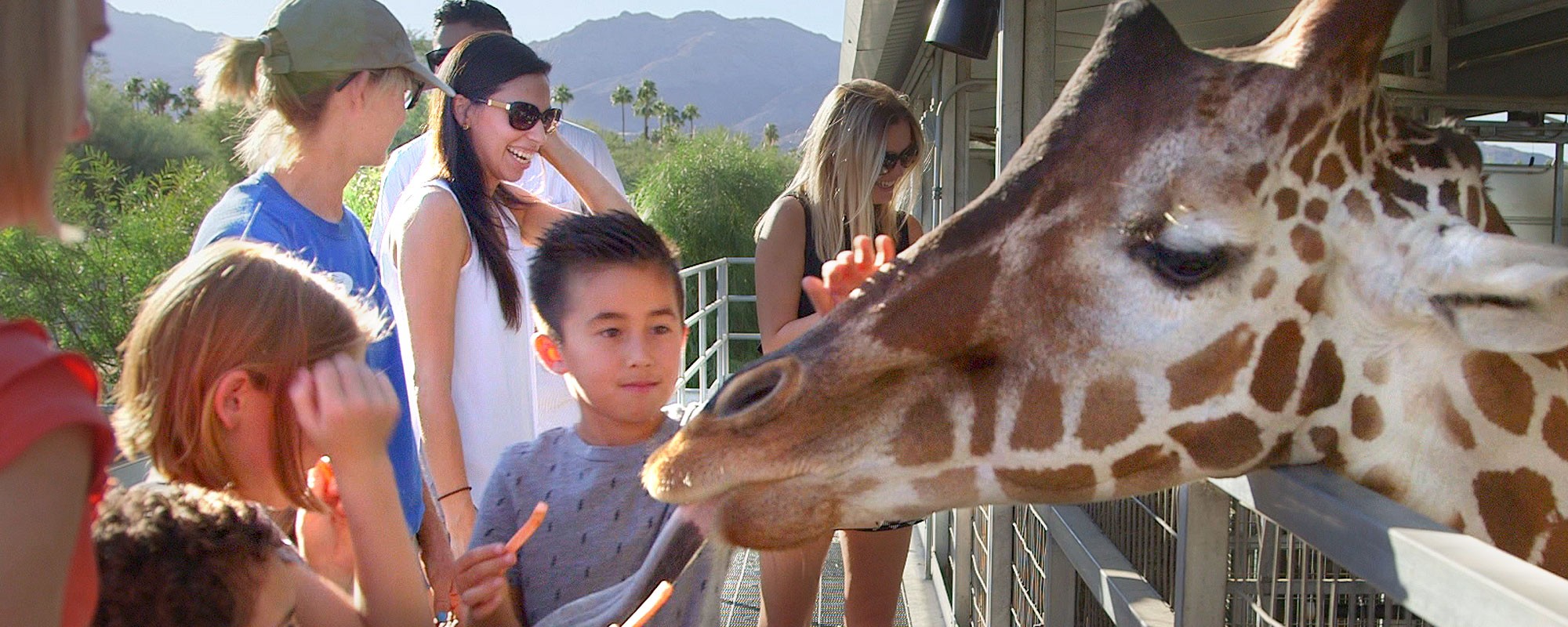 Behind the Scenes tours at The Living Desert Zoo and Gardens.