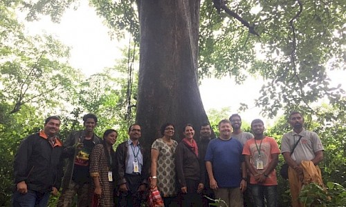 AERF team with giant tree. Photo 1.