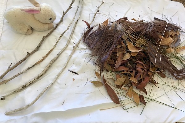 To re-nest rabbits you will need: Leaf litter/plant debris, four sticks or strings of approximately equal length, stuffed animal.