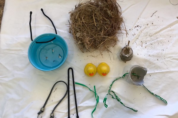 Re-nesting supplies plus a cup shaped bird nest and hummingbird nest for scale.