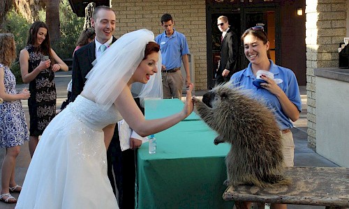 Animal encounters, and after-hours programs that can be specifically tailored to meet the needs of your event.