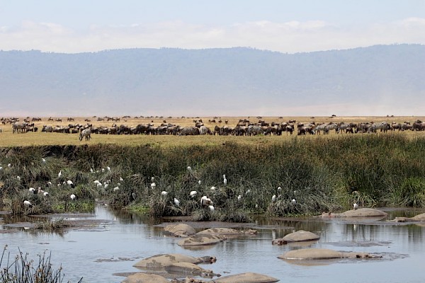 Ngorongoro Conservation Area, Tanzania.