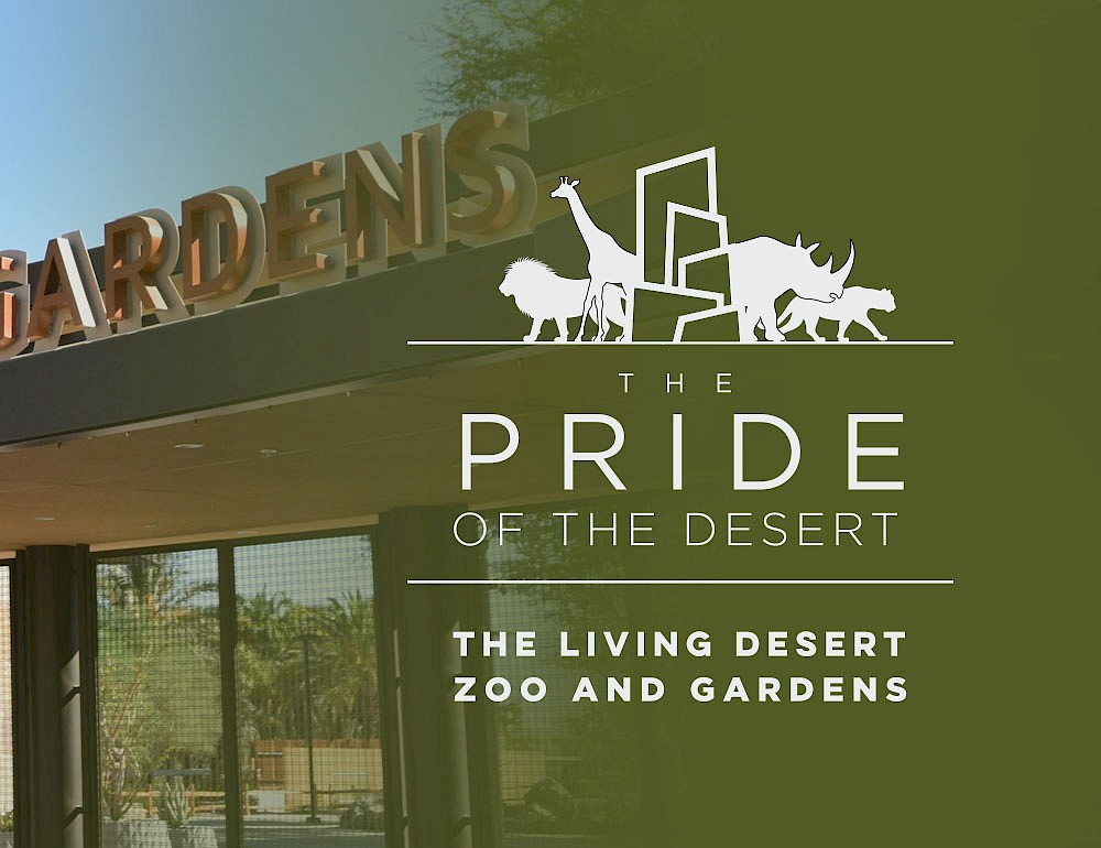 The Pride of the Desert - The Living Desert Zoo and Garden