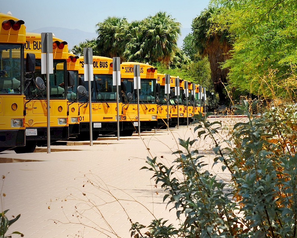 field trips at the living desert zoo and gardens