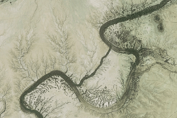 A satellite image of Salt Creek, centered on the 1.6 miles The Living Desert is restoring. Credit, Google Inc.