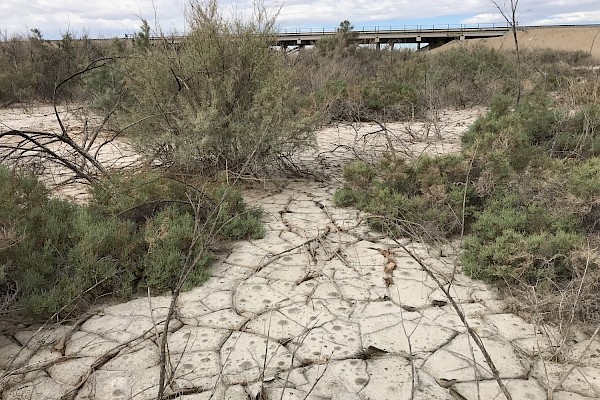 The dry topsoil characteristic of lower Salt Creek near the delta with the Salton Sea