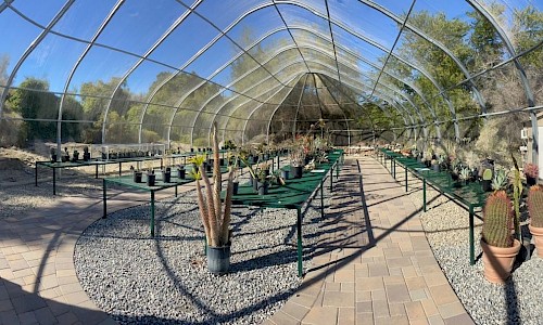 Rows of plants fill the Desert Plant Conservation Center