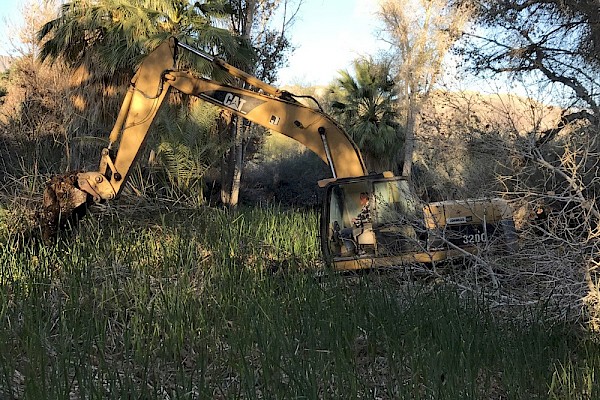 Heavy machinery removing hundreds of tons of mud and cattail roots from the pond basin.