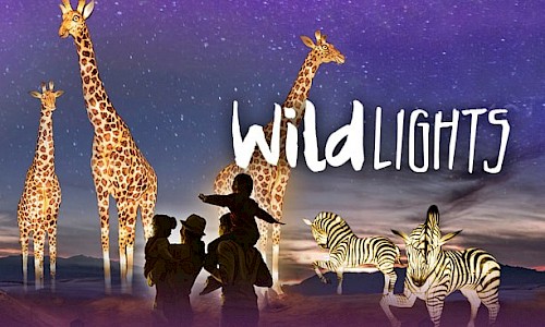 WildLights at The Living Desert Zoo and Gardens