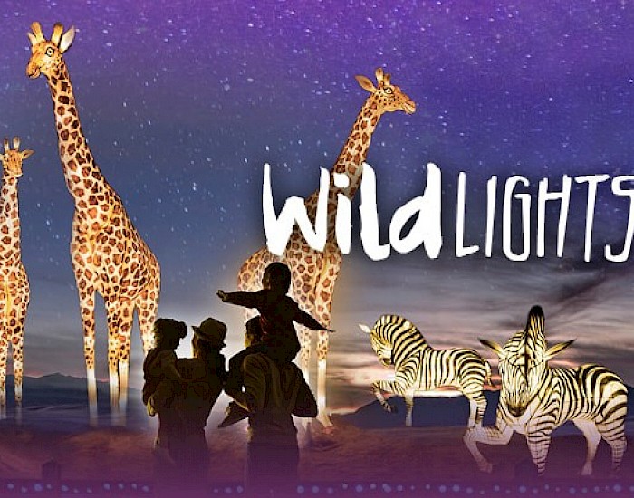 WildLights at The Living Desert Zoo and Gardens