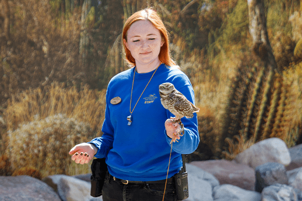 Careers and Jobs | The Living Desert Zoo and Gardens