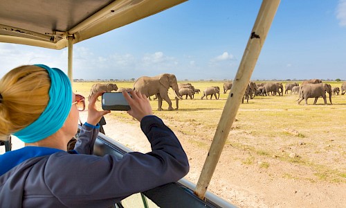 Tourist in tour vehicle on Safari