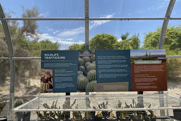 Plant trafficking display in the Desert Plant Conservation Center at The Living Desert.