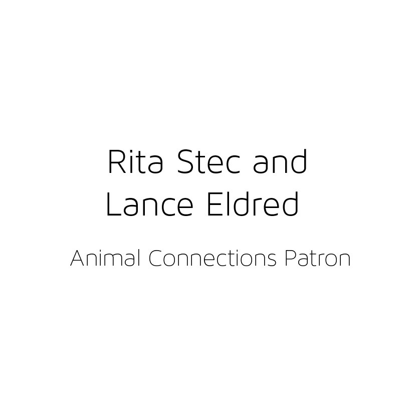 Rita Stec and Lance Eldred Animal Encounter and Wine Patron