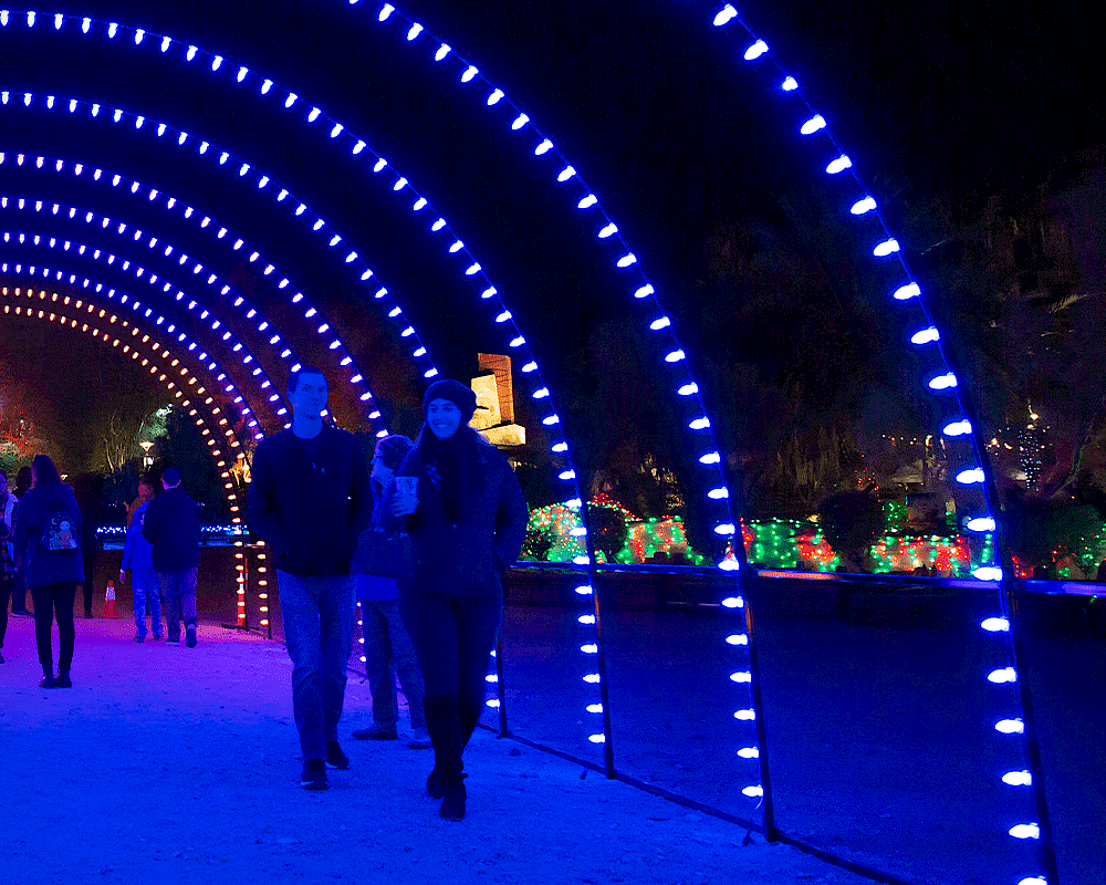 WildLights is an annual, signature event of The Living Desert Zoo and Gardens.