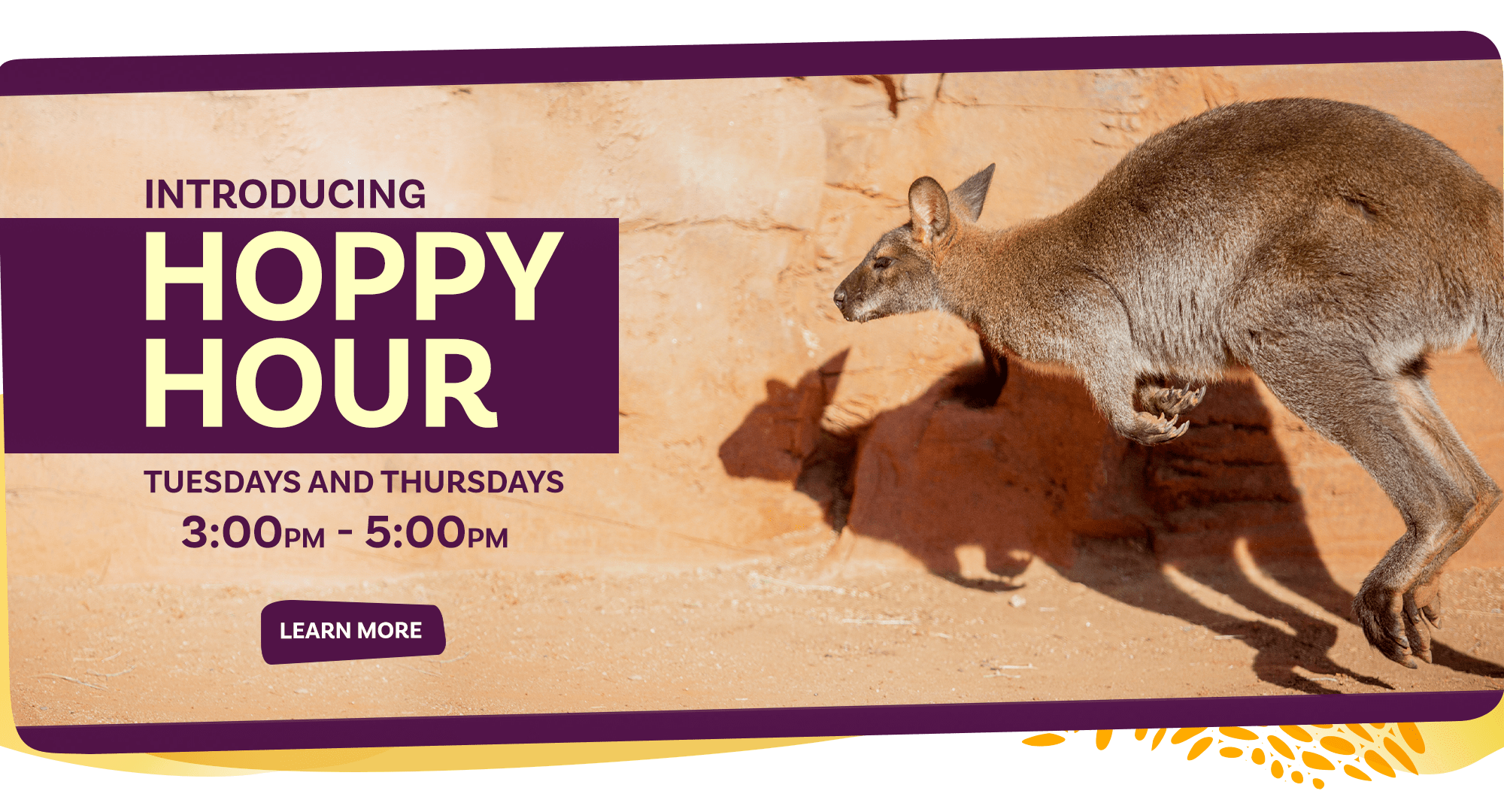 Hoppy Hour homepage banner at The Living Desert Zoo and Gardens!