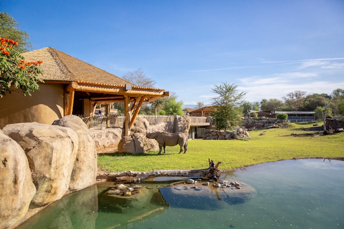 Rhino Savanna