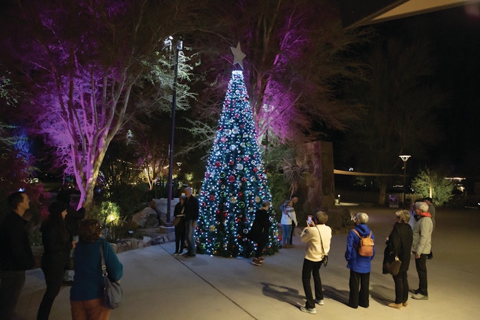 WildLights Tree and People