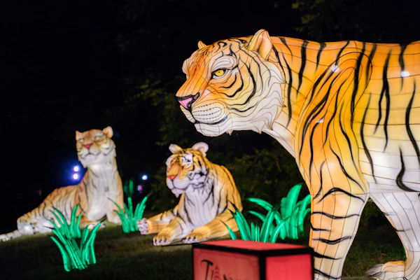 Tiger Glow in the Park lanterns