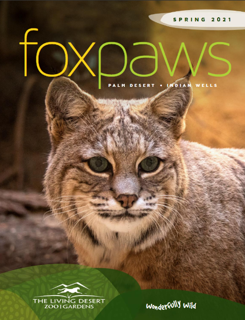foxpaws spring 2021