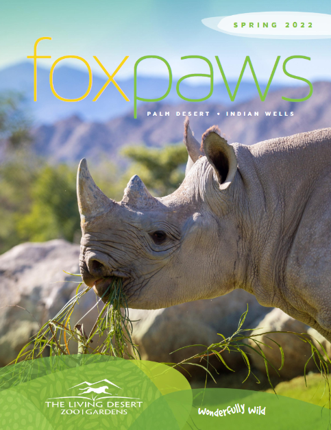 foxpaws spring 2022