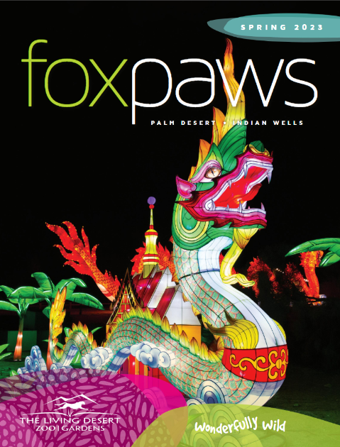 foxpaws spring 2023