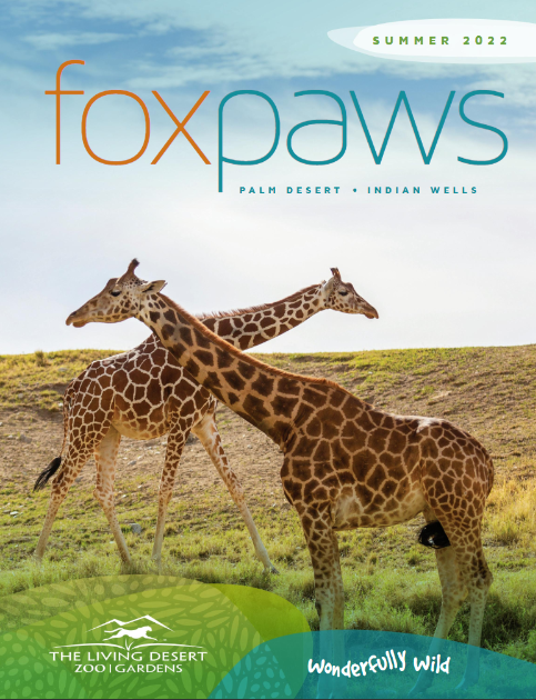 foxpaws summer 2022