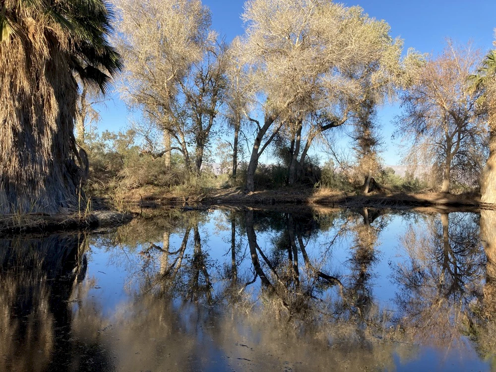 img_POND