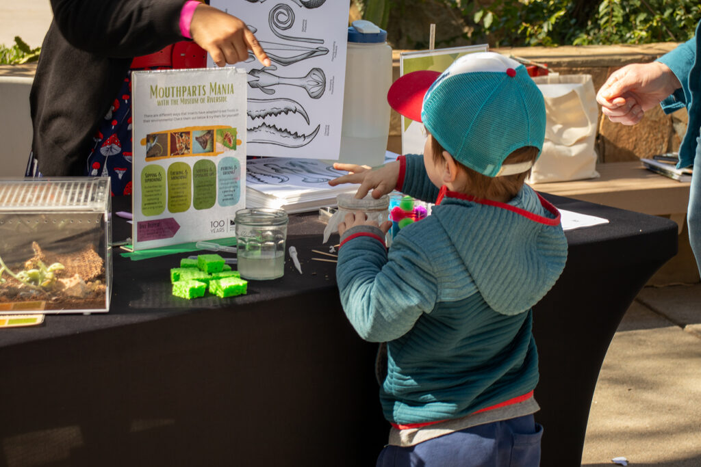 STEAM-Career-day_TheLivingDesert-5
