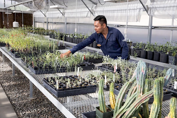 propagation garden