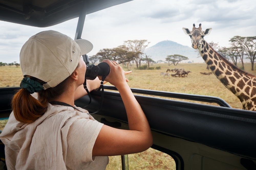 Tourist in vehicle