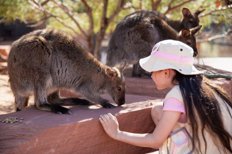Child and Bennett's Wallaby- The Living Desert Zoo and Gardens_ Photo by Tara Howard