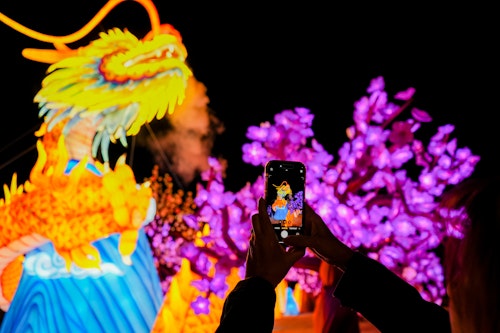 TheLivingDesert_GlowinthePark-2025 (30) (1)