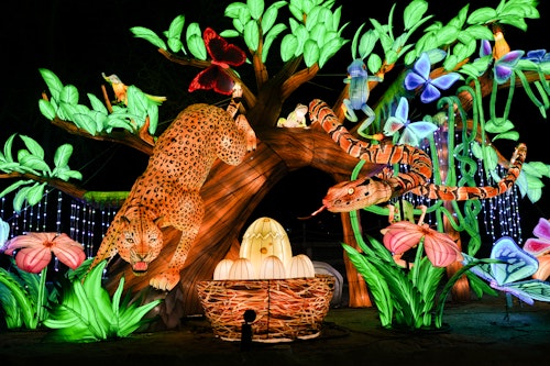 TheLivingDesert_GlowinthePark-2025 (35)