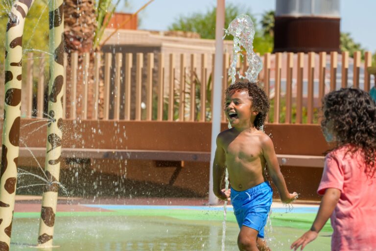 TheLivingDesert_OasisSplashpad_2025 (6)